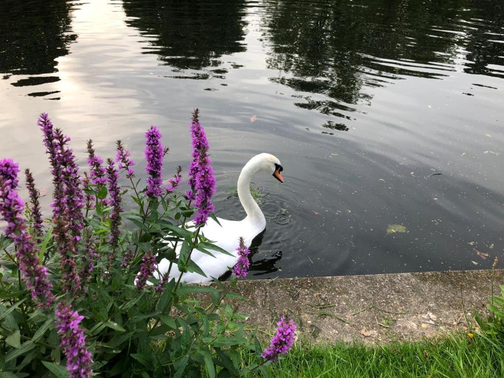 Cozy Double Bedroom In Stunning Bungalow On River Thames - Near Thorpe Park/Royal Holloway University/20Mins From Heathrow ستينس المظهر الخارجي الصورة