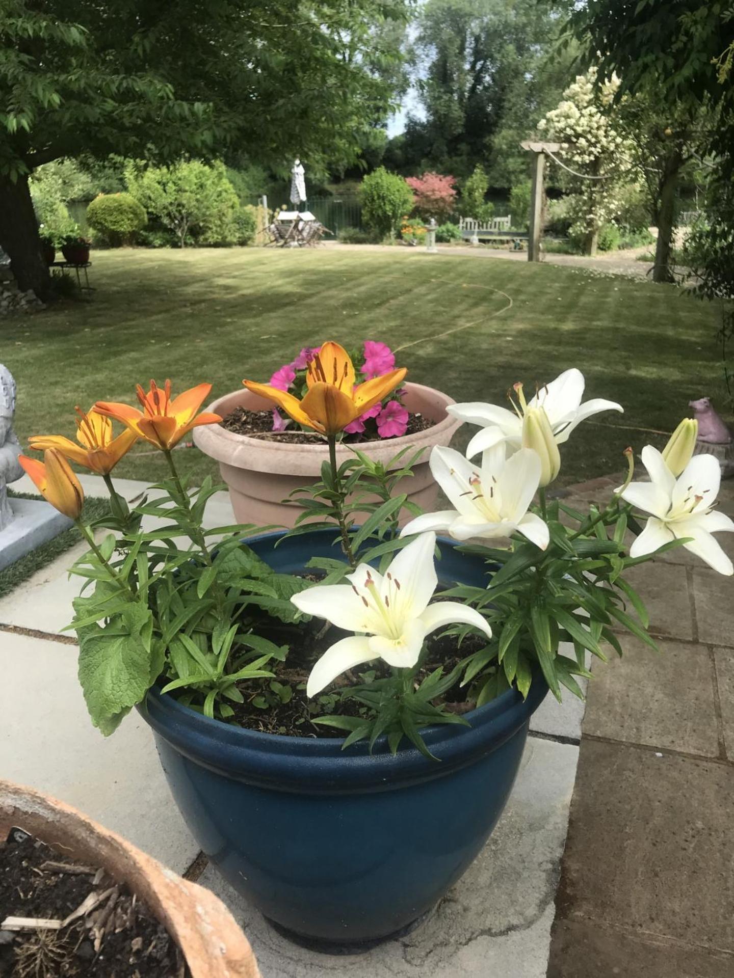 Cozy Double Bedroom In Stunning Bungalow On River Thames - Near Thorpe Park/Royal Holloway University/20Mins From Heathrow ستينس المظهر الخارجي الصورة